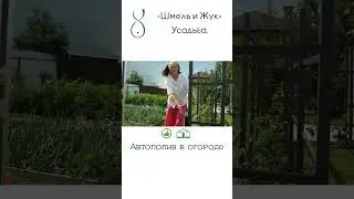 Автополив в огороде