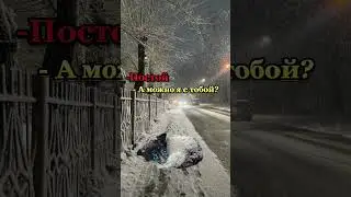 Взяли бы себе? 1 лайк = спасённый пёсик на улице #животные #грустно #улица #меллстройдвиж