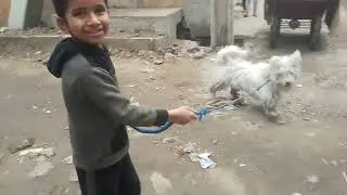 Ye kis nasal ka dog hai 😂😍🤔 #vlog #cutebaby #viral #dog #bachon ki duniya