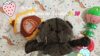 ВЛОГ С НОВЫМ БАСИКОМ ТЁМОЙ! ухаживаю и кормлю!💗