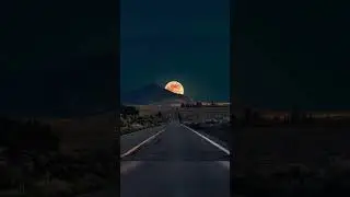 Perfectly Timed Photos 