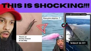 BIZZARE And STRANGE Creepy Tik Tok Sightings That Will Make You Question Reality!