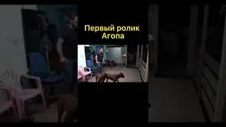 Первый ролик Агопа 
