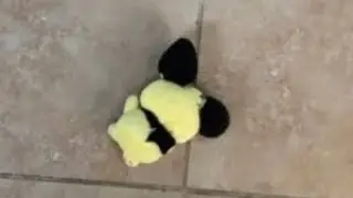 a bunch of low quality edits I made while I was at the DMV