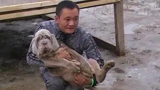 Небольшие наработки и приезд друга