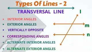 Types Of Lines by Vivan || Part 2 || Transversal Line ||