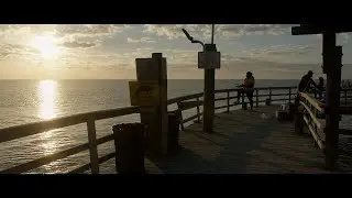 Cedar Pointe Bmpcc 6k Pro and Zhiyun Crane 3s letterbox version