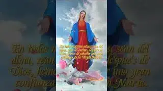 La Virgen De Guadalupe#shorts#guadalupe#2024#catolica