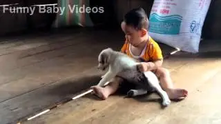 wow !!! BABY VS DOGS