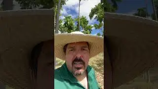 Serviço de campo sempre nos traz aprendizados.