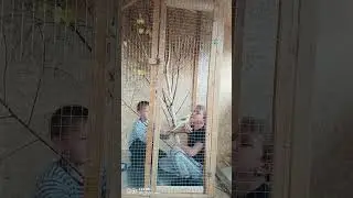 Карлуша и мальчики. 