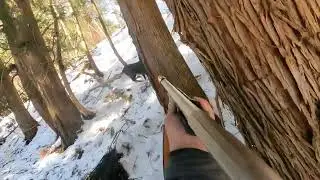 巻狩り🦌