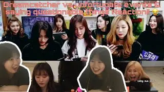 Dreamcatcher - Introducing DC ‘saying questionable things’ & ‘vs unfortunate events’ Reaction! 😂