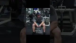 Sam Sulek on Jeff Nippard
