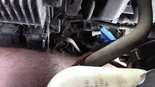 2007 Trailblazer/Envoy P0496 diagnosis and repair