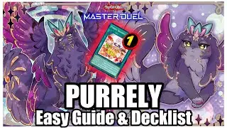 PURRELY | EASY GUIDE & DECKLIST in MASTER DUEL!