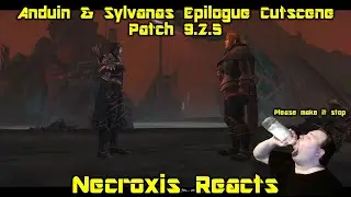 Anduin and Sylvanas 9.2.5 Epilogue Cinematic REACTION - World of Warcraft: Shadowlands