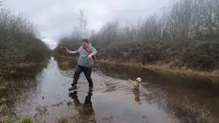 Cali the Rescue Dog: Muddy Dog Walks at the Nature Reserve