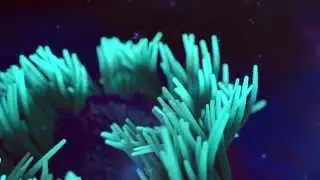 Showreel 2014