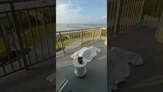 I Found Homeless Guy Sleeping on our Balcony
