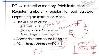 Introduction to the Processor