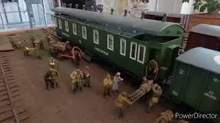 Исторические вехи медицины Омского региона