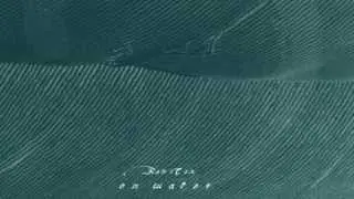 Ben Cox ~ Plover