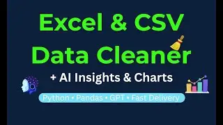 Excel & CSV Data Cleaner and Analyzer | Python + Pandas Automation Tool