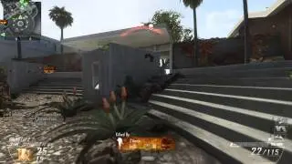 What goes on in my mind when I play BLOPS 2