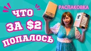 Распаковка потерянных посылок по 2$ Что внутри?