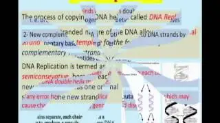 04- P1- Nucleic Acid Biology and DNA Synthesis (English) - Dr Essam Ibrahim - Pre-Medical Course