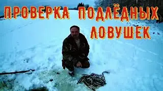 НЕ ДУМАЛ ЧТО ВСЁ ТАК КОНЧИТСЯ / ПОСЛЕДНЯЯ ПРОВЕРКА ПОДЛЁДНЫХ ЛОВУШЕК / LAST CHECK OF UNDER ICE TRAPS