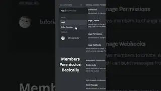 3 Discord Server Permission Categories That Will Make Your Life Easier!