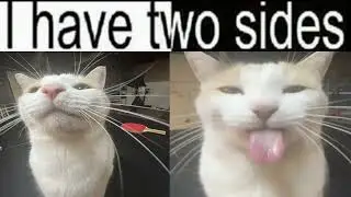 I have two sides :P