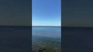 Тамань