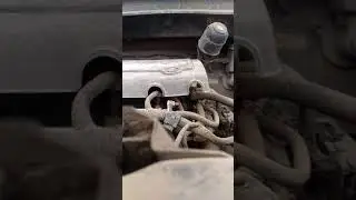 Проблема с запуском спортейдж
