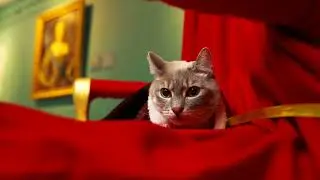 Официальный ролик выставки «Часы и эпоха»