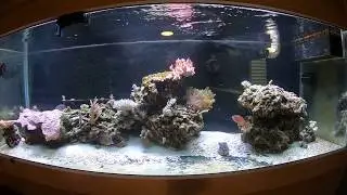 8/28 Timelapse