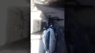 Уронил плиту на Камри