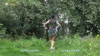梦露经典歌舞《天涯歌女》Monroe Classic Song and Dance End of the World