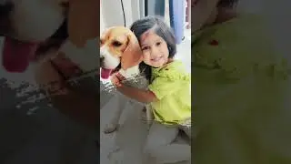 MIHI is having fun with her pet dog ।। 'FUN' days with Beagle dog
