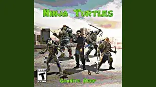 Ninja Turtles