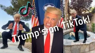 Donald Trump's Top Secret Tik Tok account