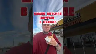 Jerusalem Shawarma? #shorts #food #canada