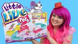 Little Live Pets Lil' Mouse Fun Park Trail | TOY REVIEW | KiMMi THE CLOWN