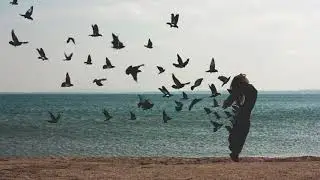 T-Fest - Улети
