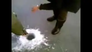 поймали щуку