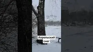 19 апреля 2024 года. Снег