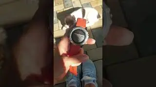 Дневник БегЛица / Пробежка по пересечённой местности в горных условиях #бег #garmin #мотивация