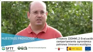 Proyecto 22OHM1_2 Evaluación comportamiento agronómico patrones limonero ecológico